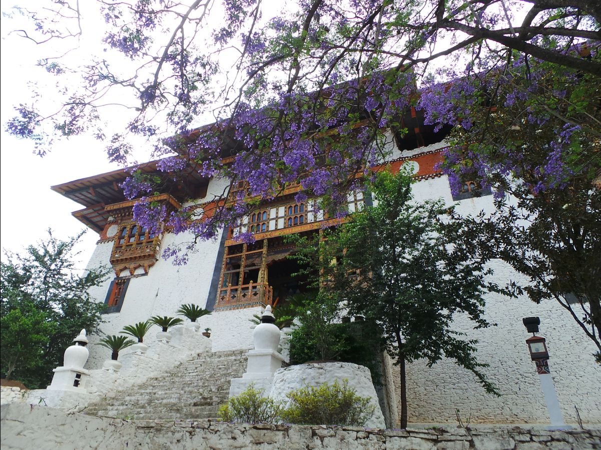 Punakha Dzong48